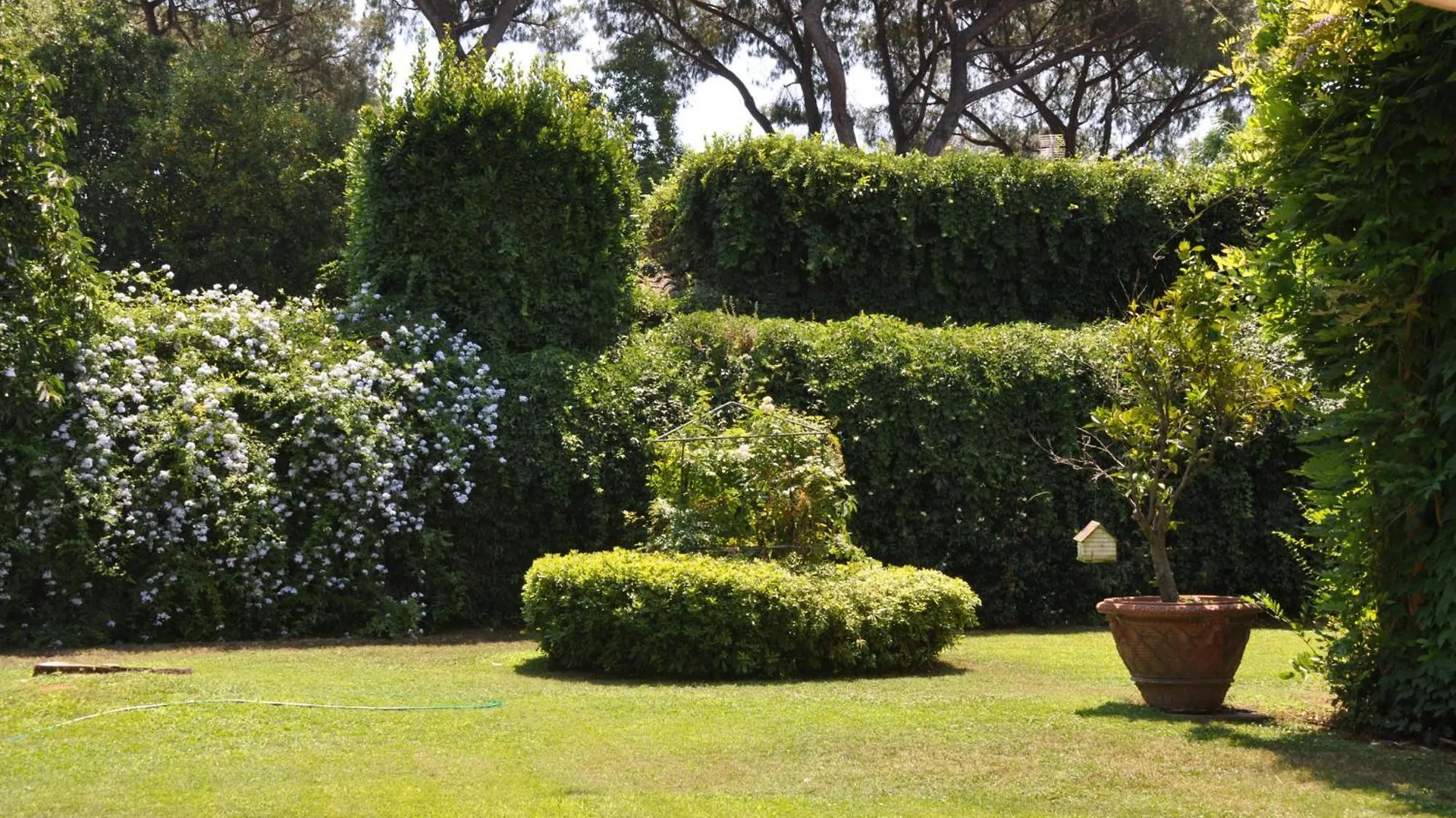 Luxury Villa - Appia Antica Ρώμη